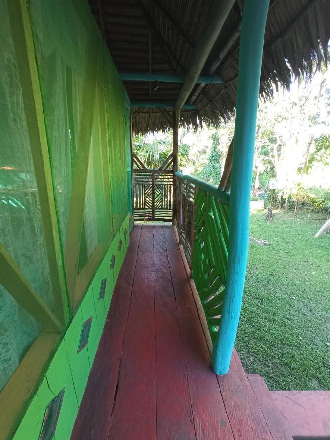 לטיסייה Hostal Buho Amazonas Tours מראה חיצוני תמונה